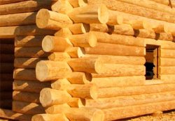 Будівництво будинків з дикого зрубу. Львів